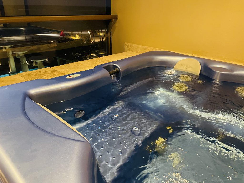 The Earl Beachfront View(ジ・アールスイート ビーチフロントビュー)ジャグジー