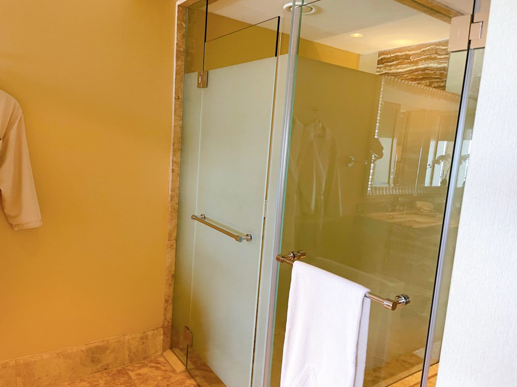 The Earl Beachfront View(ジ・アールスイート ビーチフロントビュー)シャワールーム